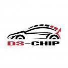 ds-chip